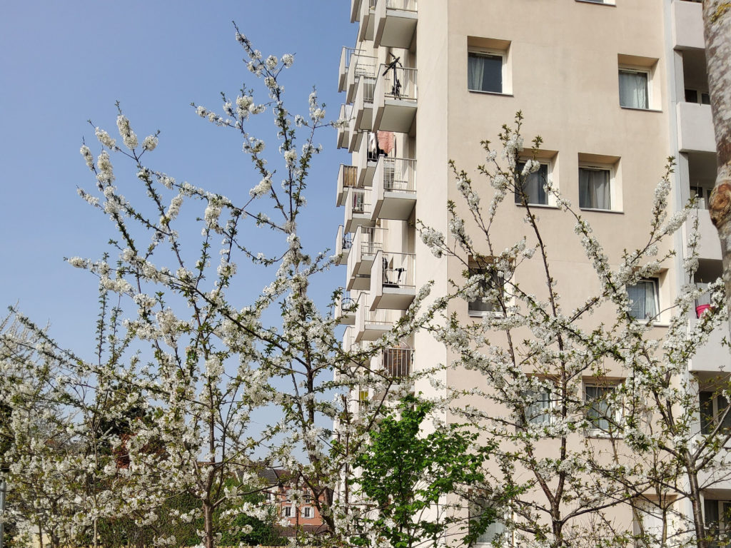 Spring is beginning at La Hêtraie Paris Habitat – Limeil-Brévannes (FR)