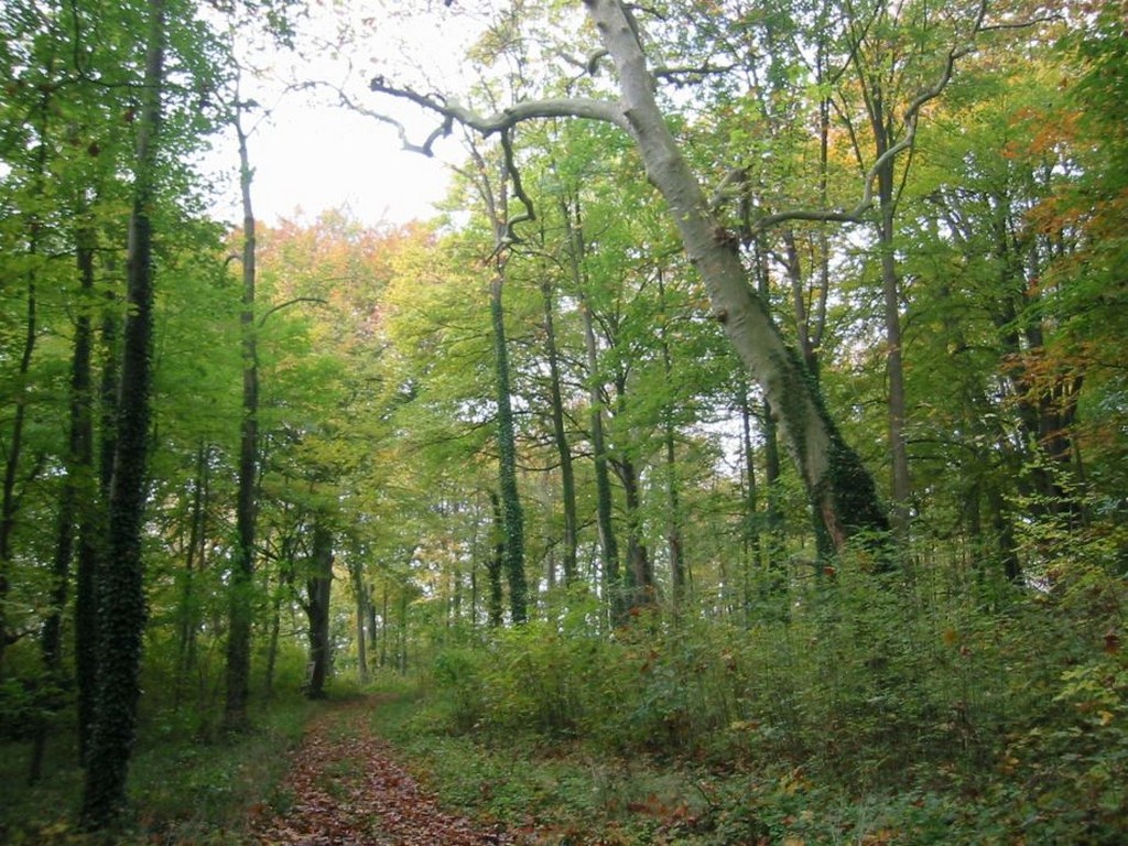 Liancourt (FR) APIJ @ RETHINK