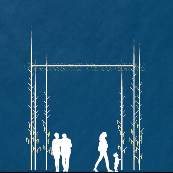 Installation éphémère pour noël, Manege - Saint Petersbourg (RU)