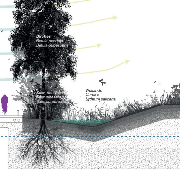 Tuchkov Buyan park competition RU-Saint Petersburg © Praxys