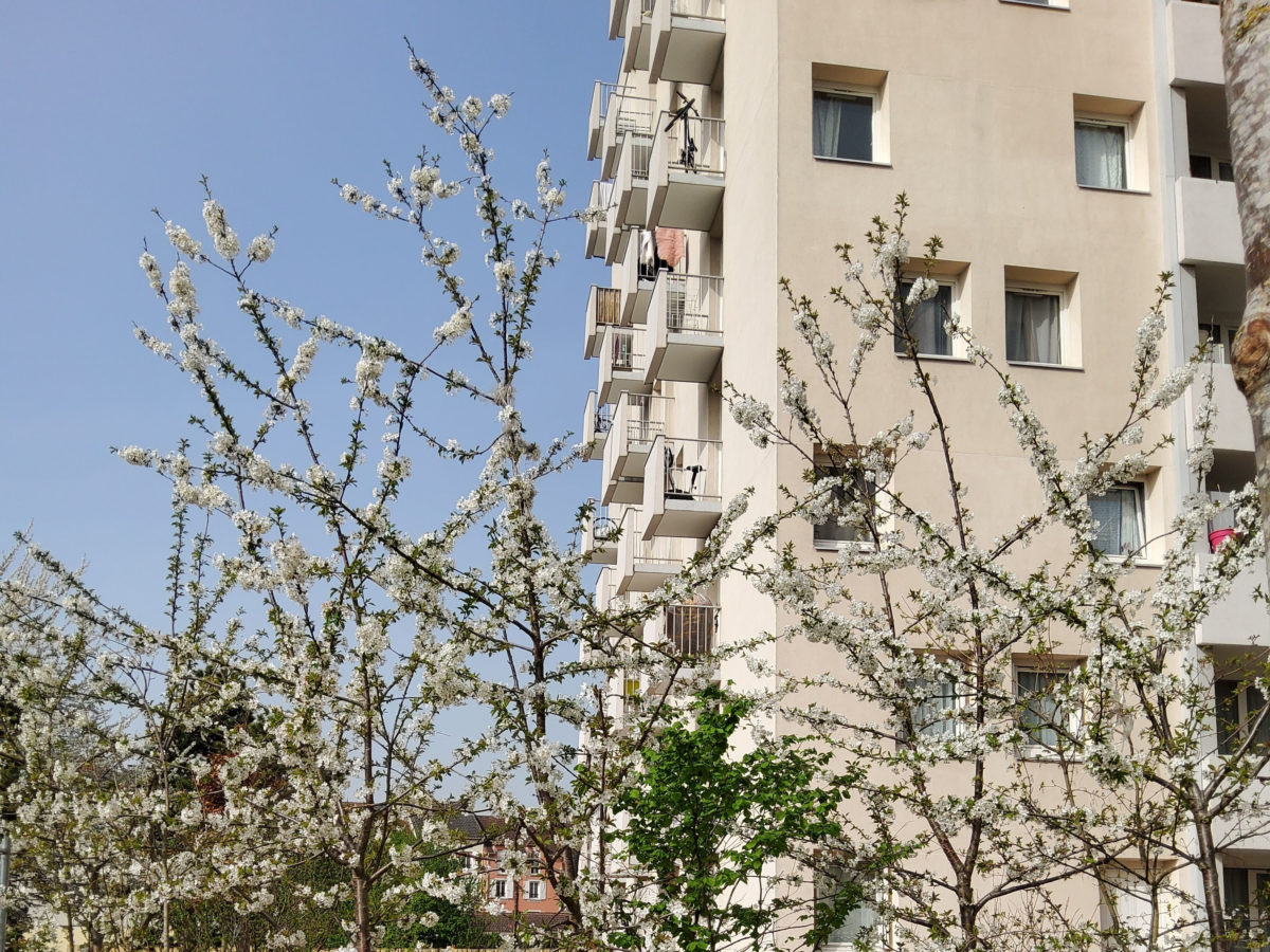La Hêtraie Limeil-Brévannes Paris Habitat RETHINK