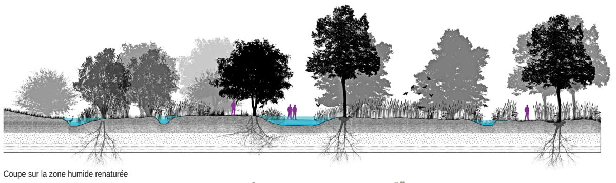 AMITER, Touques (FR)