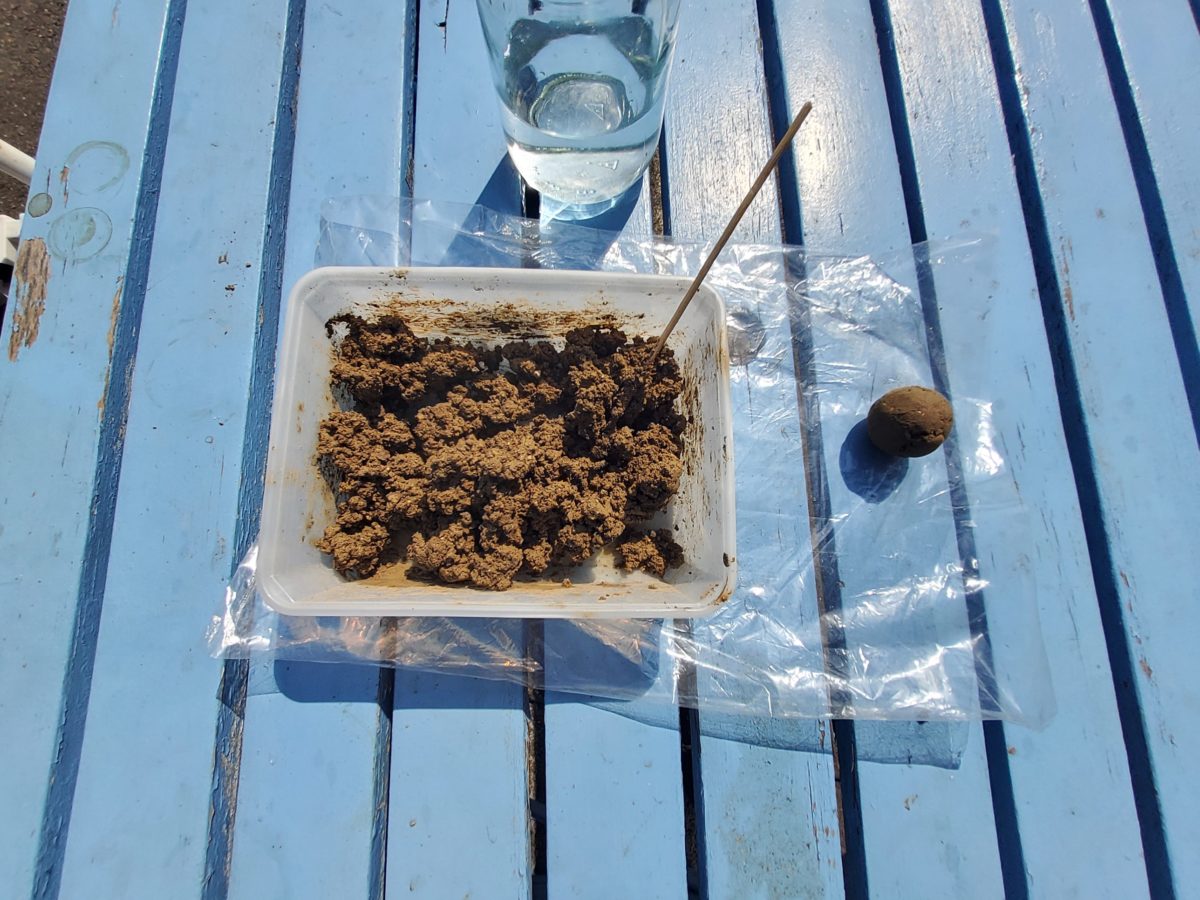 Adobe brick test RETHINK